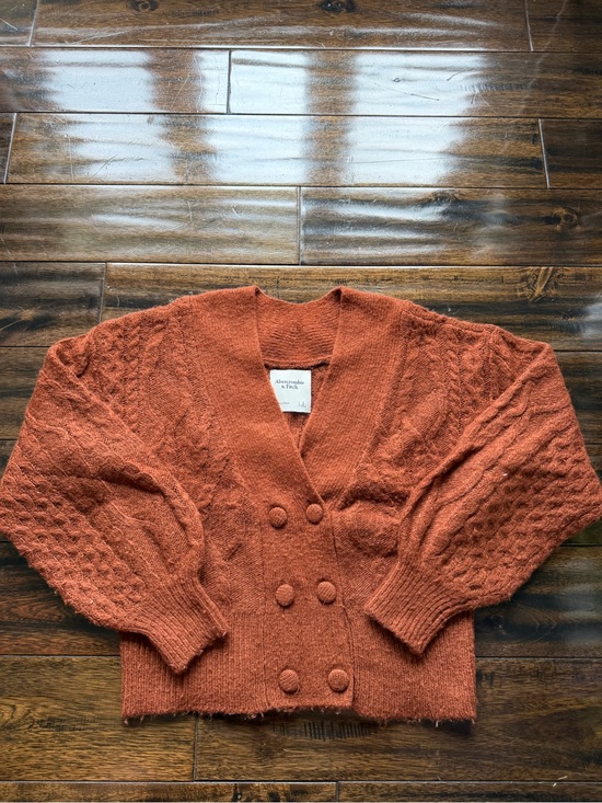 Abercrombie & Fitch Sweaters - Abercrombie & Fitch Rust Orange Wool Cable Cardigan
